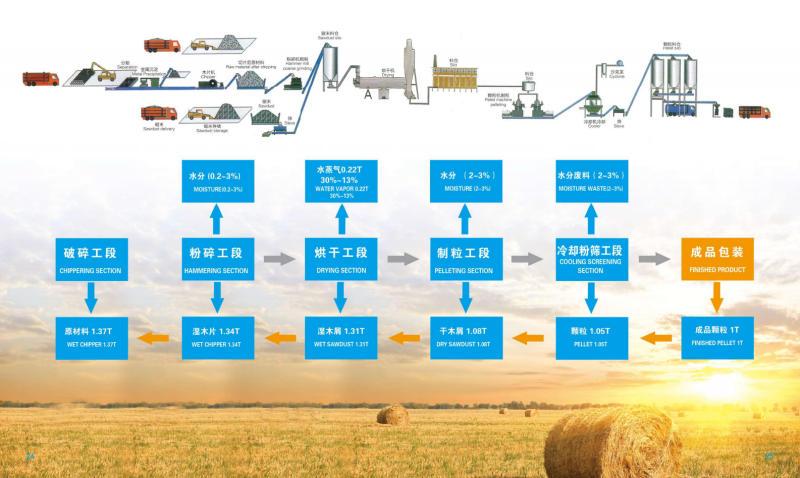 虎扑体育宣传册_13 - 副本.png